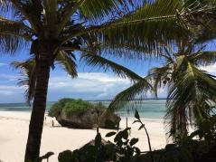 one of the beach in the North of Diani